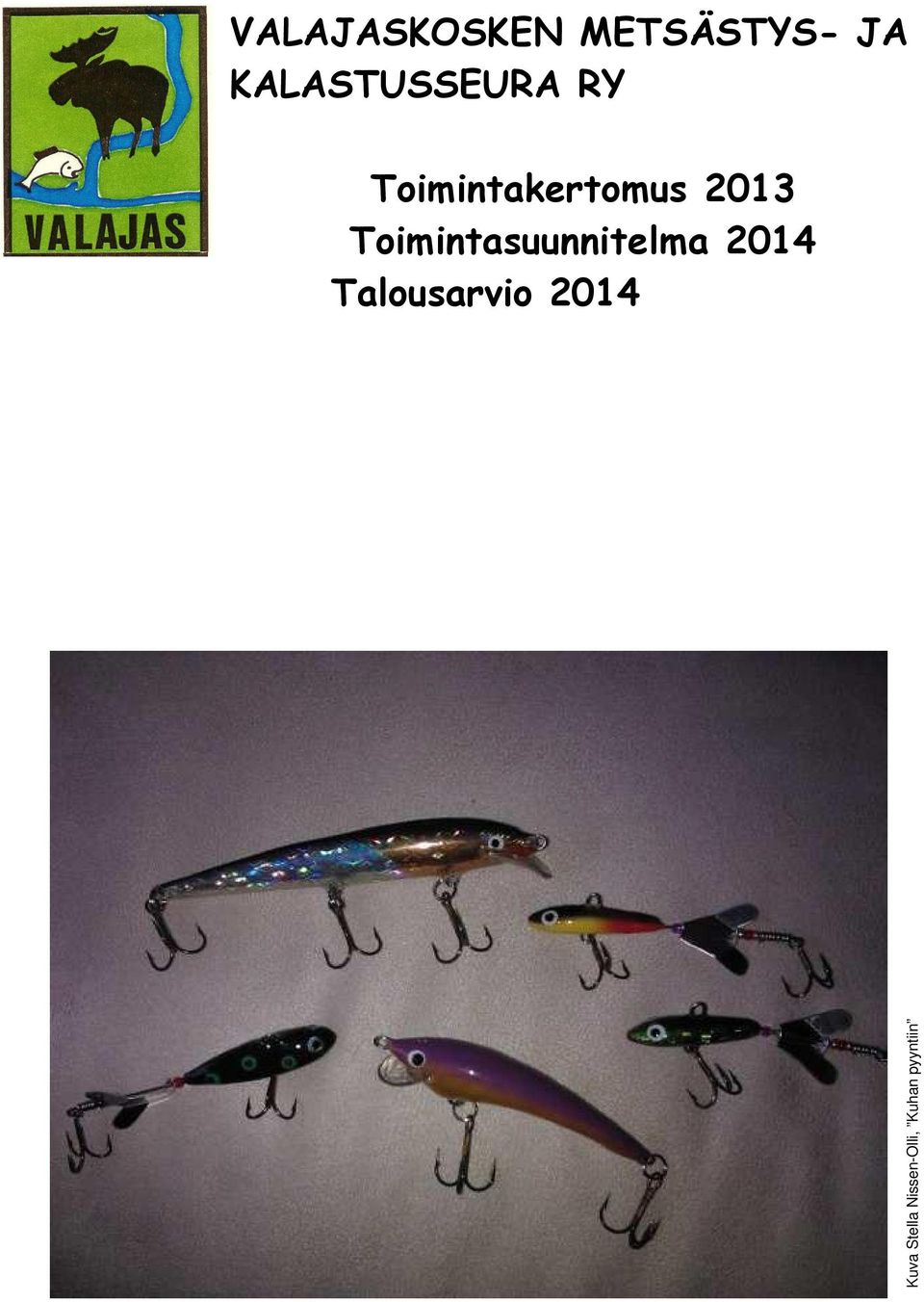 2013 Toimintasuunnitelma 2014