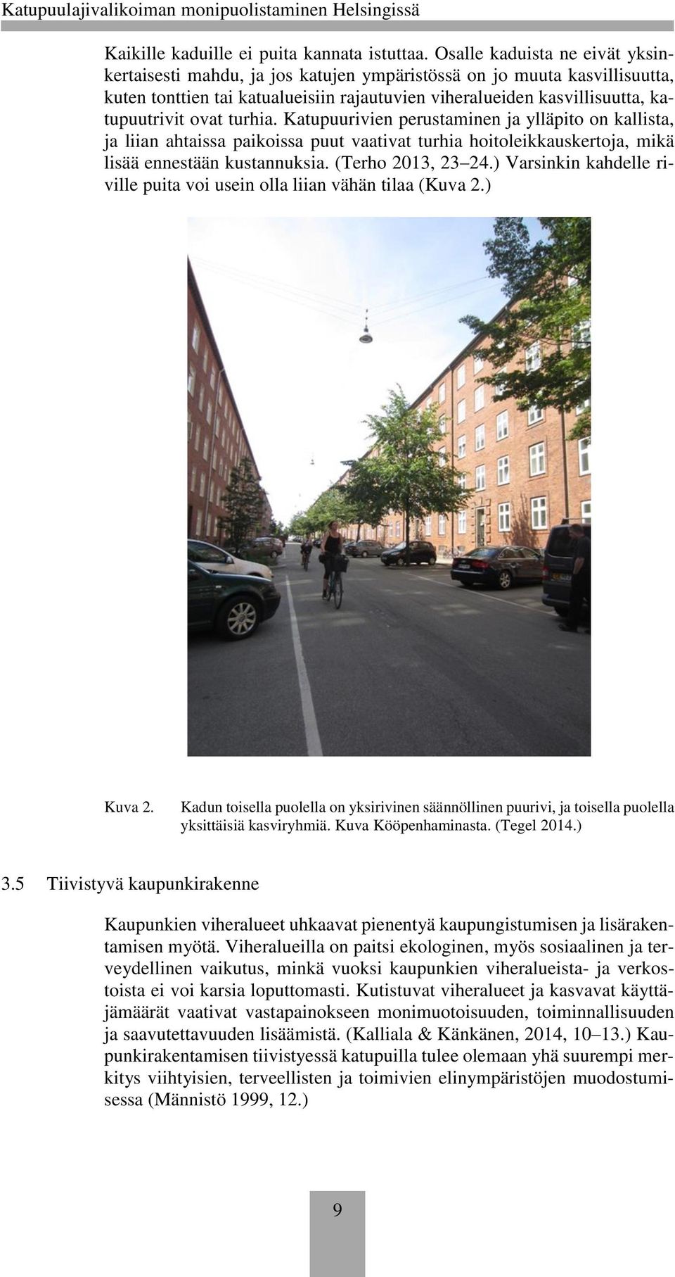 turhia. Katupuurivien perustaminen ja ylläpito on kallista, ja liian ahtaissa paikoissa puut vaativat turhia hoitoleikkauskertoja, mikä lisää ennestään kustannuksia. (Terho 2013, 23 24.