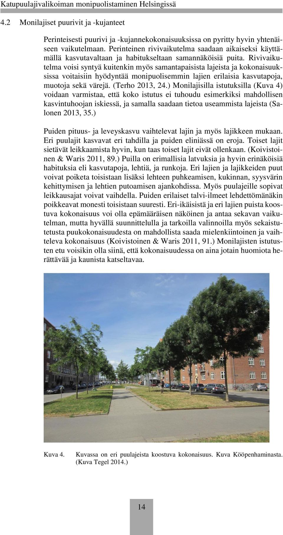 Rivivaikutelma voisi syntyä kuitenkin myös samantapaisista lajeista ja kokonaisuuksissa voitaisiin hyödyntää monipuolisemmin lajien erilaisia kasvutapoja, muotoja sekä värejä. (Terho 2013, 24.