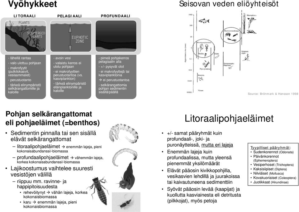 kasviplankton) -tärkeä elinympäristö eläinplanktonille ja kaloille - pimeä pohjakerros pelagiaalin alla - +/- pysyvät olot - ei makrofyyttejä tai kasviplanktonia ei perustuotantoa - selkärangattomia
