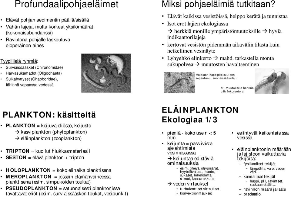 (phytoplankton) eläinplankton (zooplankton) TRIPTON = kuollut hiukkasmateriaali SESTON = elävä plankton + tripton HOLOPLANKTON = koko elinaika planktisena MEROPLANKTON = jossain elämänvaiheessa