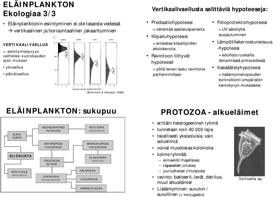 hypoteesit = yöllä levien laatu ravintona parhaimmillaan Fotoprotektiohypoteesi = UV-säteilyltä suojautuminen Lämpötilakerrostuneisuus -hypoteesi = edullista ruokailla lämpimässä pintavedessä
