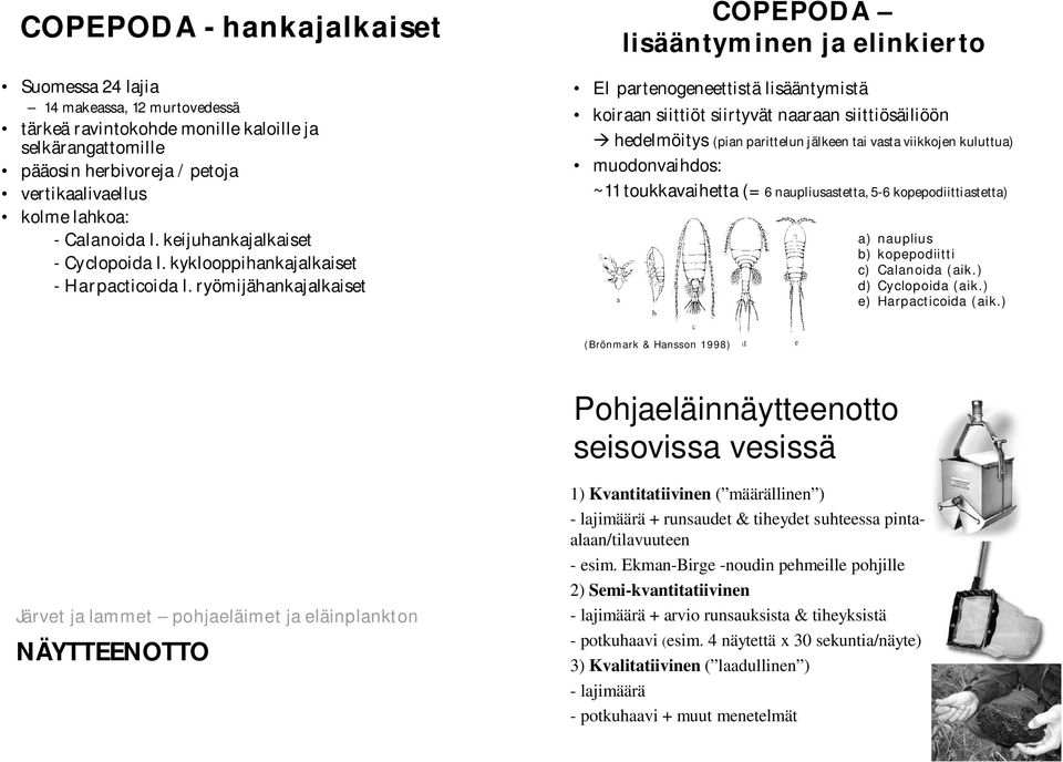 ryömijähankajalkaiset COPEPODA lisääntyminen ja elinkierto EI partenogeneettistä lisääntymistä koiraan siittiöt siirtyvät naaraan siittiösäiliöön hedelmöitys (pian parittelun jälkeen tai vasta