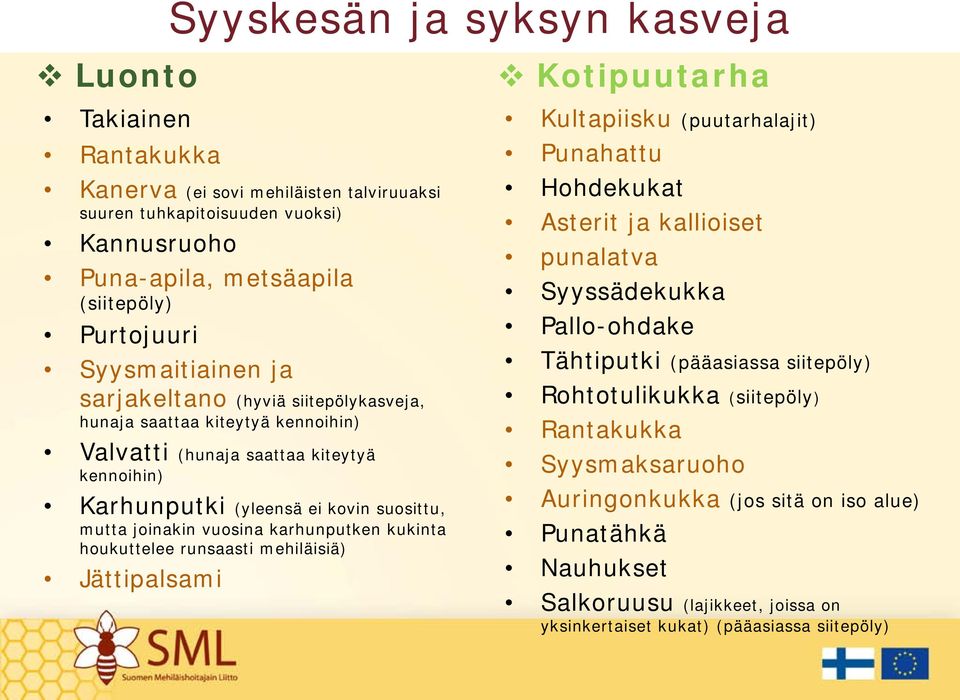 karhunputken kukinta houkuttelee runsaasti mehiläisiä) Jättipalsami Kotipuutarha Kultapiisku (puutarhalajit) Punahattu Hohdekukat Asterit ja kallioiset punalatva Syyssädekukka Pallo-ohdake Tähtiputki