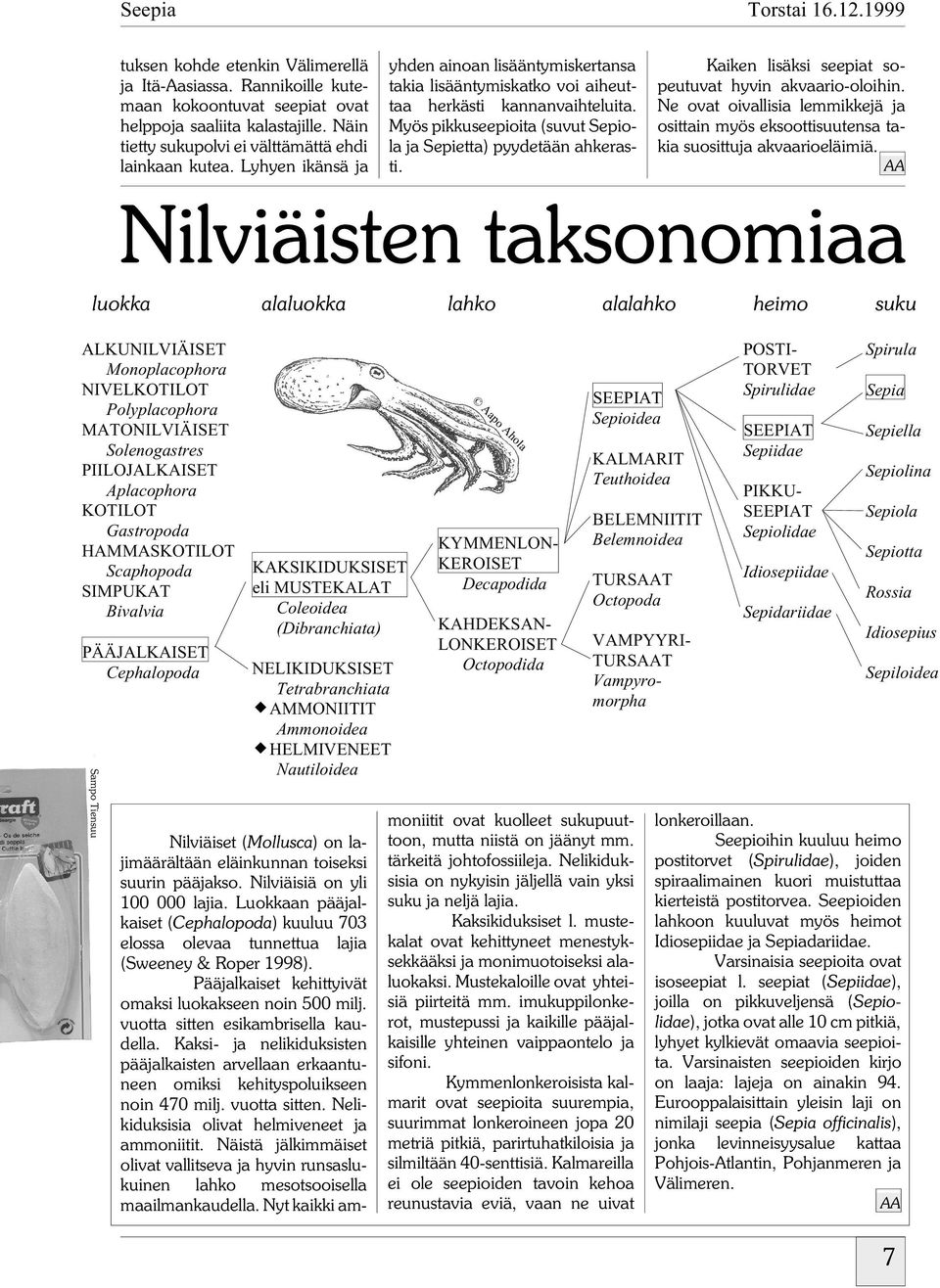 Myös pikkuseepioita (suvut Sepiola ja Sepietta) pyydetään ahkerasti. Kaiken lisäksi seepiat sopeutuvat hyvin akvaario-oloihin.