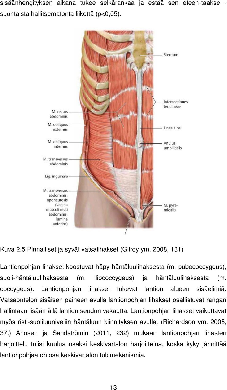 sisäelimiä. Vatsaontelon sisäisen paineen avulla lantionpohjan lihakset osallistuvat rangan hallintaan lisäämällä lantion seudun vakautta.