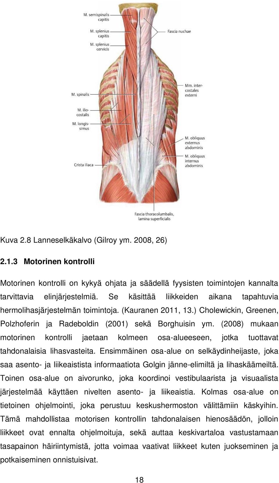 (2008) mukaan motorinen kontrolli jaetaan kolmeen osa-alueeseen, jotka tuottavat tahdonalaisia lihasvasteita.