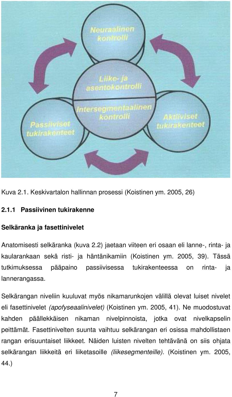 Tässä tutkimuksessa pääpaino passiivisessa tukirakenteessa on rinta- ja lannerangassa.