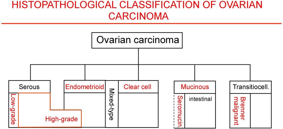 Endometrioid Clear cell Mucinous High-grade