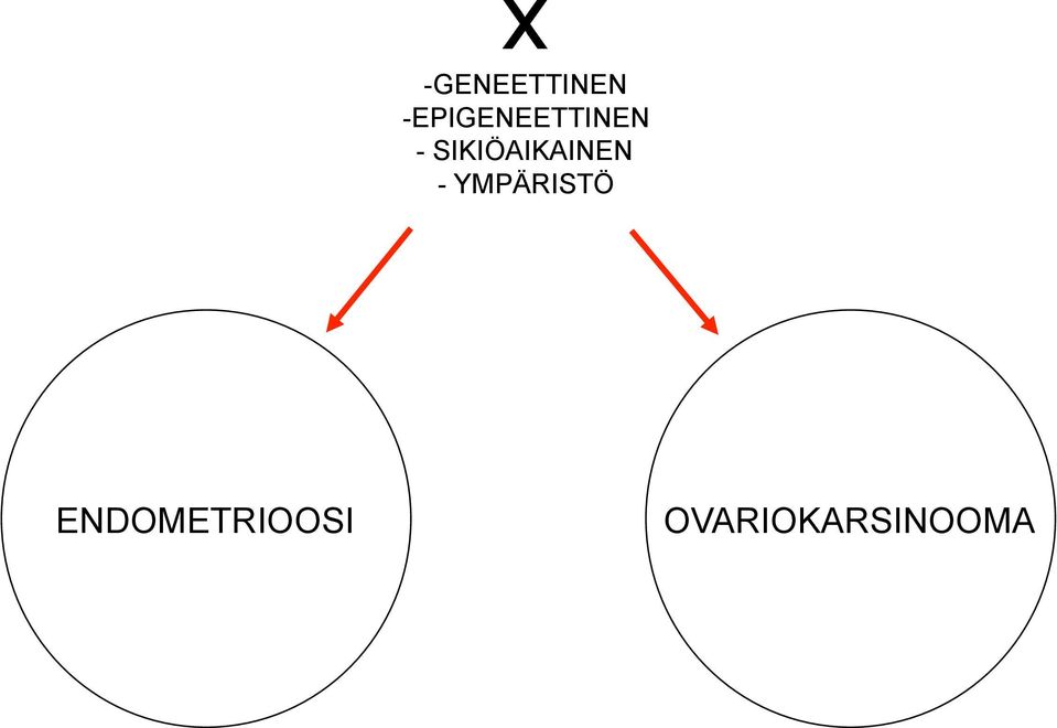 SIKIÖAIKAINEN -