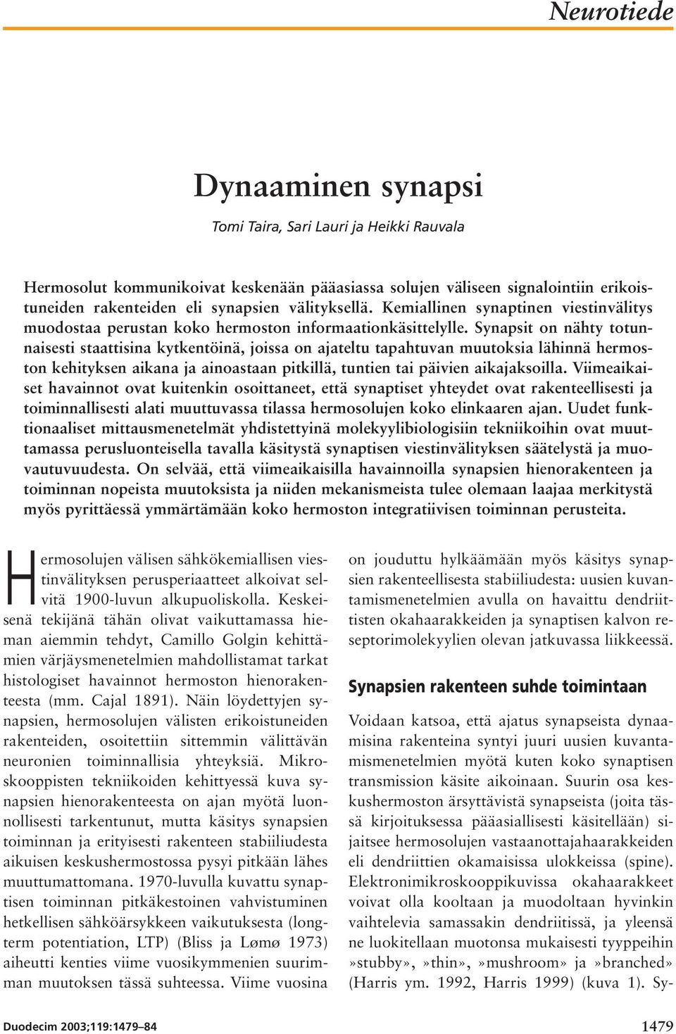 Synapsit on nähty totunnaisesti staattisina kytkentöinä, joissa on ajateltu tapahtuvan muutoksia lähinnä hermoston kehityksen aikana ja ainoastaan pitkillä, tuntien tai päivien aikajaksoilla.