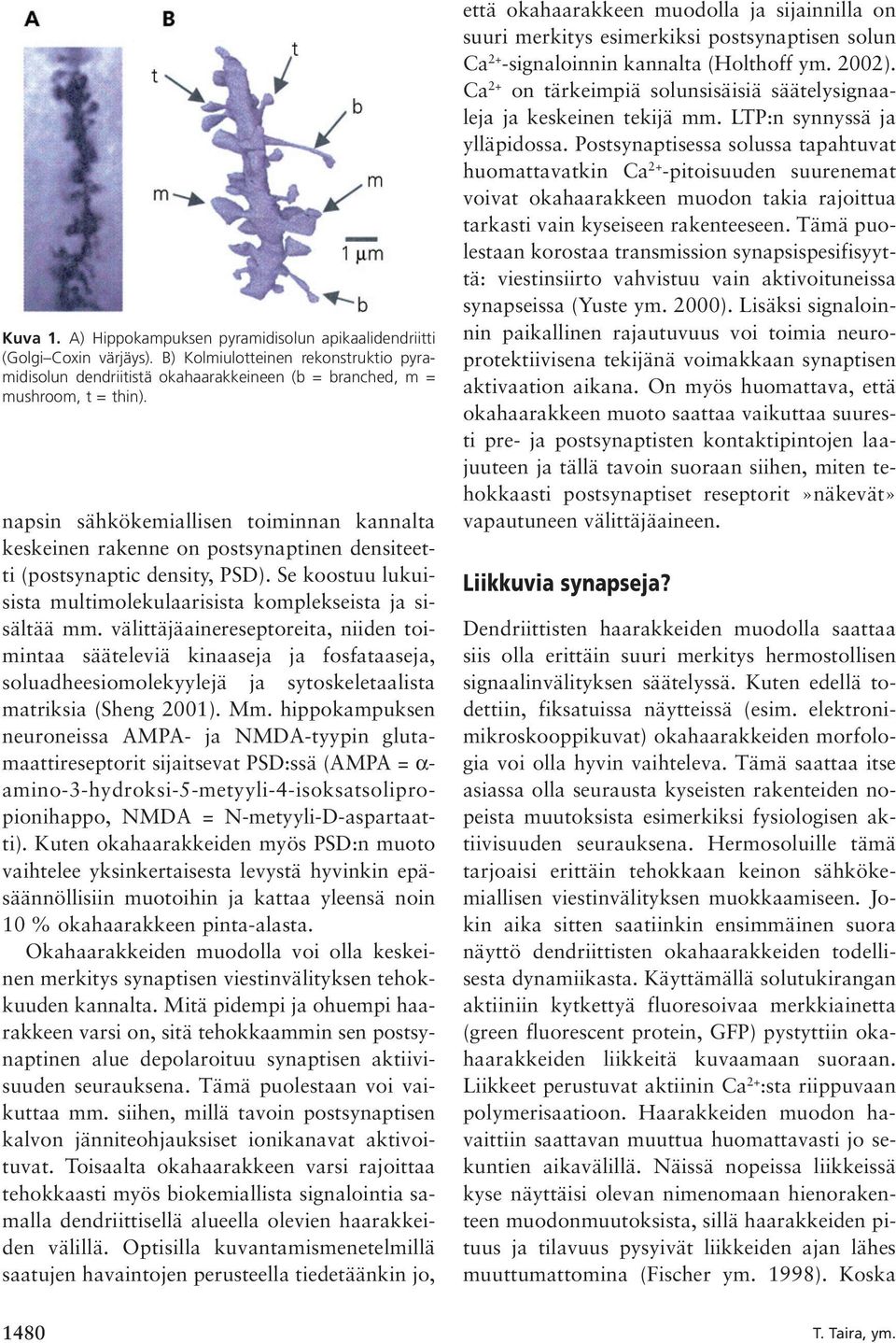 välittäjäainereseptoreita, niiden toimintaa sääteleviä kinaaseja ja fosfataaseja, soluadheesiomolekyylejä ja sytoskeletaalista matriksia (Sheng 2001). Mm.