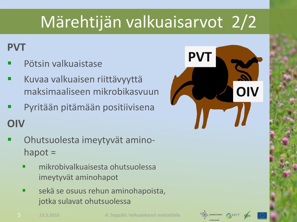 OIV Ohutsuolesta imeytyvät aminohapot = mikrobivalkuaisesta ohutsuolessa