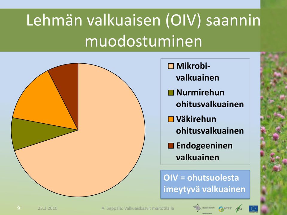 Väkirehun ohitusvalkuainen Endogeeninen