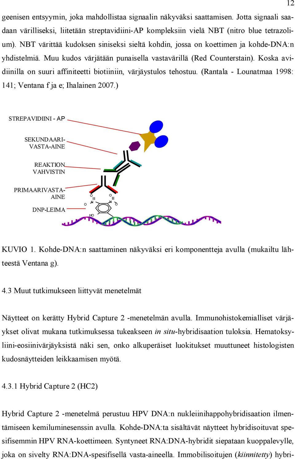 Koska avidiinilla on suuri affiniteetti biotiiniin, värjäystulos tehostuu. (Rantala - Lounatmaa 1998: 141; Ventana f ja e; Ihalainen 2007.