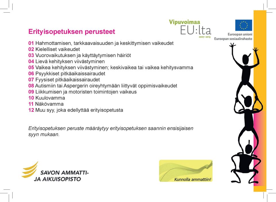 Fyysiset pitkäaikaissairaudet 08 Autismiin tai Aspergerin oireyhtymään liittyvät oppimisvaikeudet 09 Liikkumisen ja motoristen toimintojen vaikeus 10