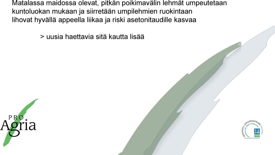 umpilehmien ruokintaan lihovat hyvällä appeella liikaa