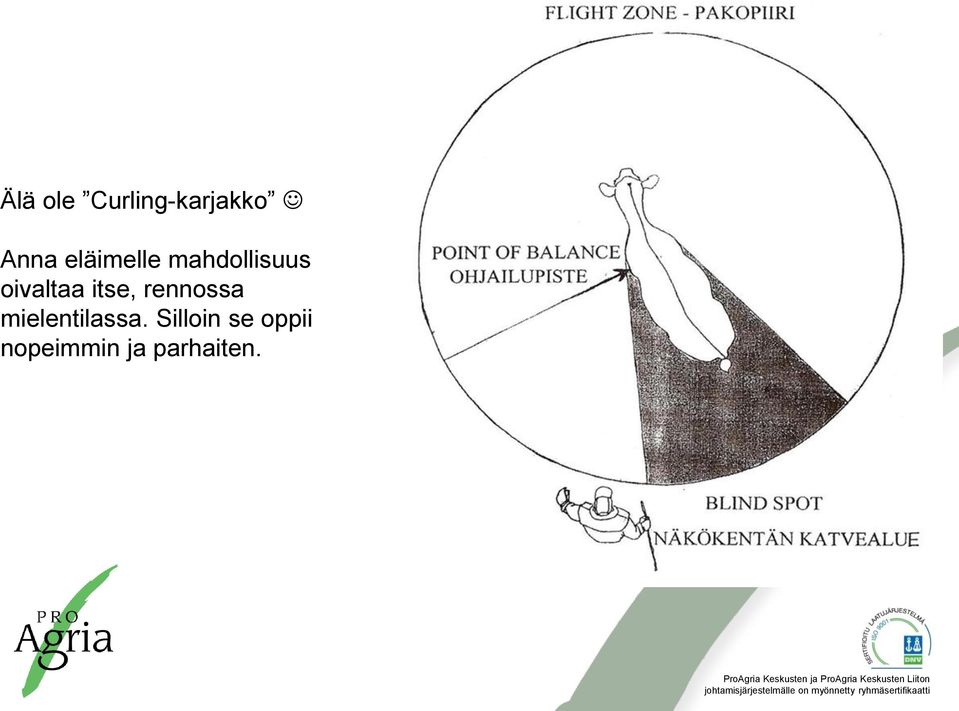 Silloin se oppii nopeimmin ja parhaiten.