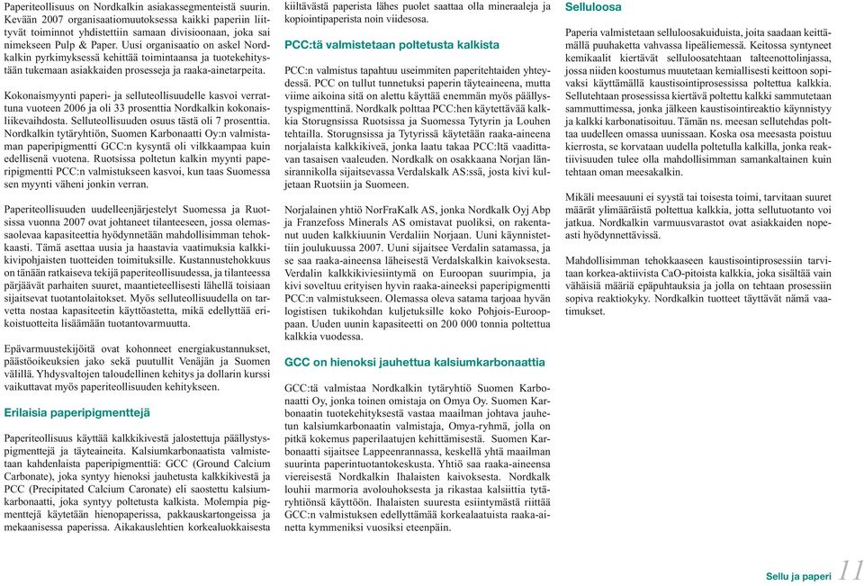 Kokonaismyynti paperi- ja selluteollisuudelle kasvoi verrattuna vuoteen 2006 ja oli 33 prosenttia Nordkalkin kokonaisliikevaihdosta. Selluteollisuuden osuus tästä oli 7 prosenttia.