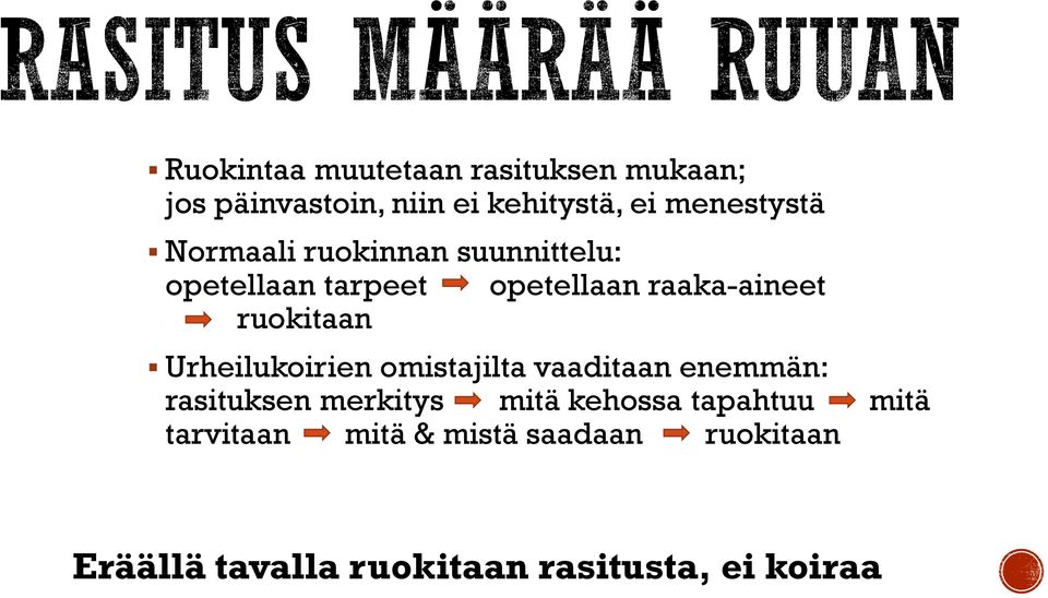 Urheilukoirien omistajilta vaaditaan enemmän: rasituksen merkitys mitä kehossa tapahtuu