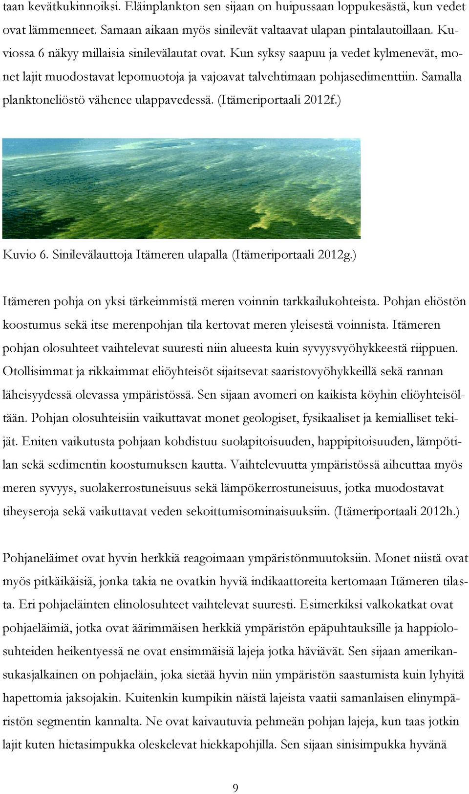 Samalla planktoneliöstö vähenee ulappavedessä. (Itämeriportaali 2012f.) Kuvio 6. Sinilevälauttoja Itämeren ulapalla (Itämeriportaali 2012g.