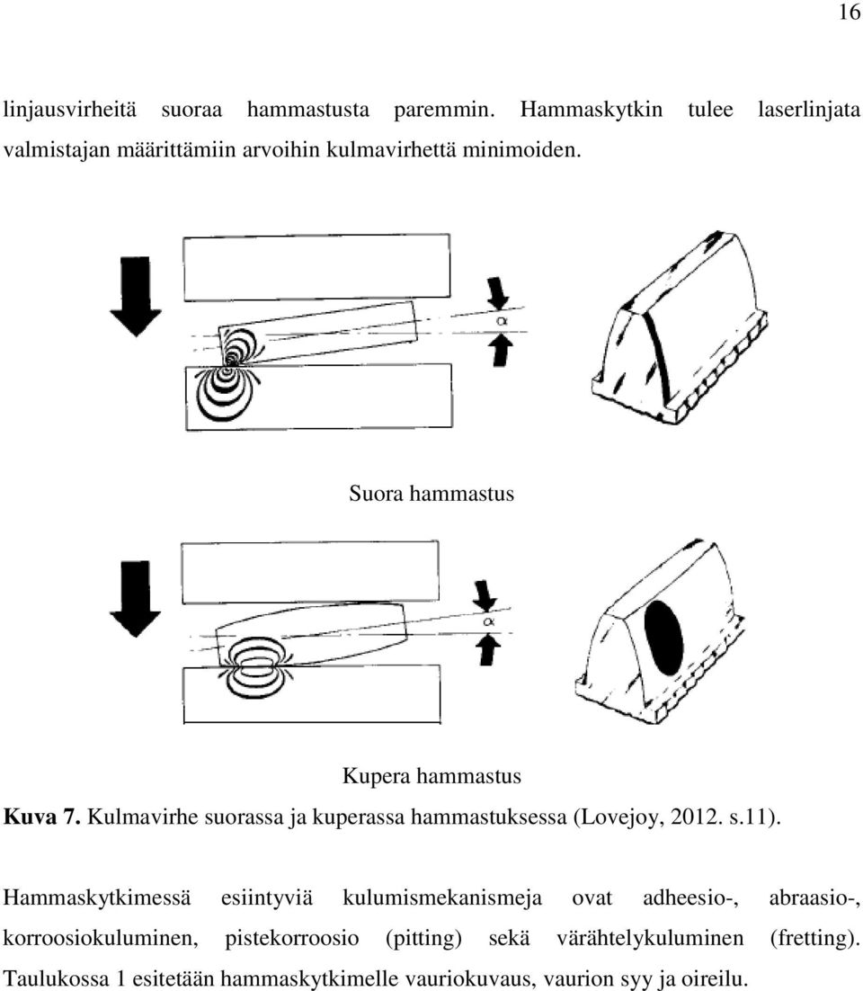 Suora hammastus Kupera hammastus Kuva 7. Kulmavirhe suorassa ja kuperassa hammastuksessa (Lovejoy, 2012. s.11).