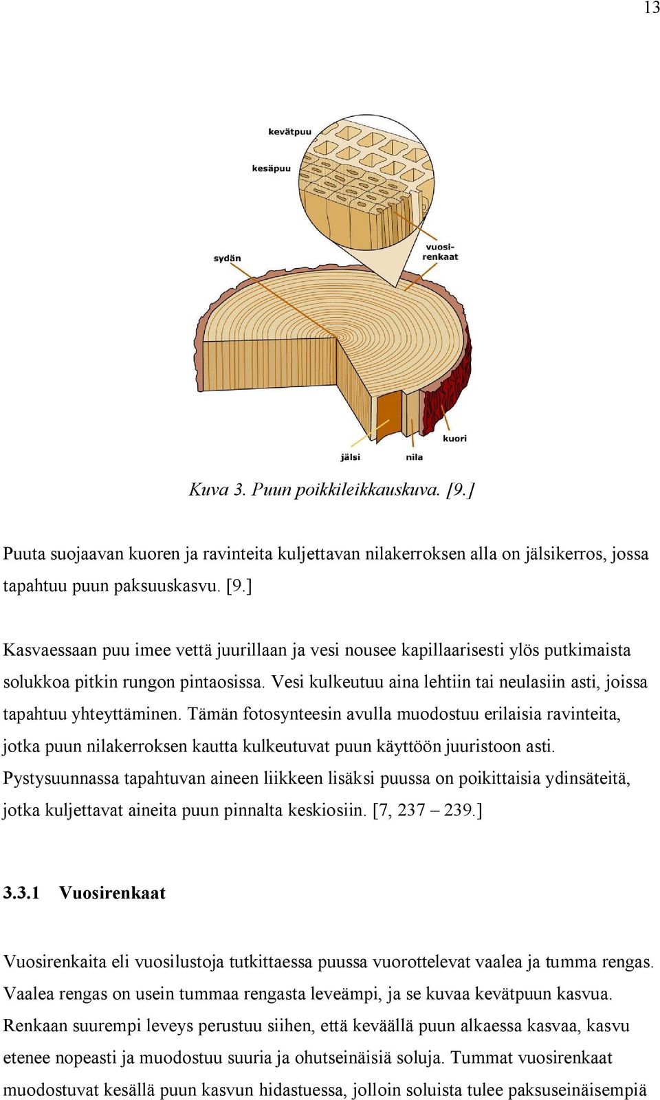 Tämän fotosynteesin avulla muodostuu erilaisia ravinteita, jotka puun nilakerroksen kautta kulkeutuvat puun käyttöön juuristoon asti.