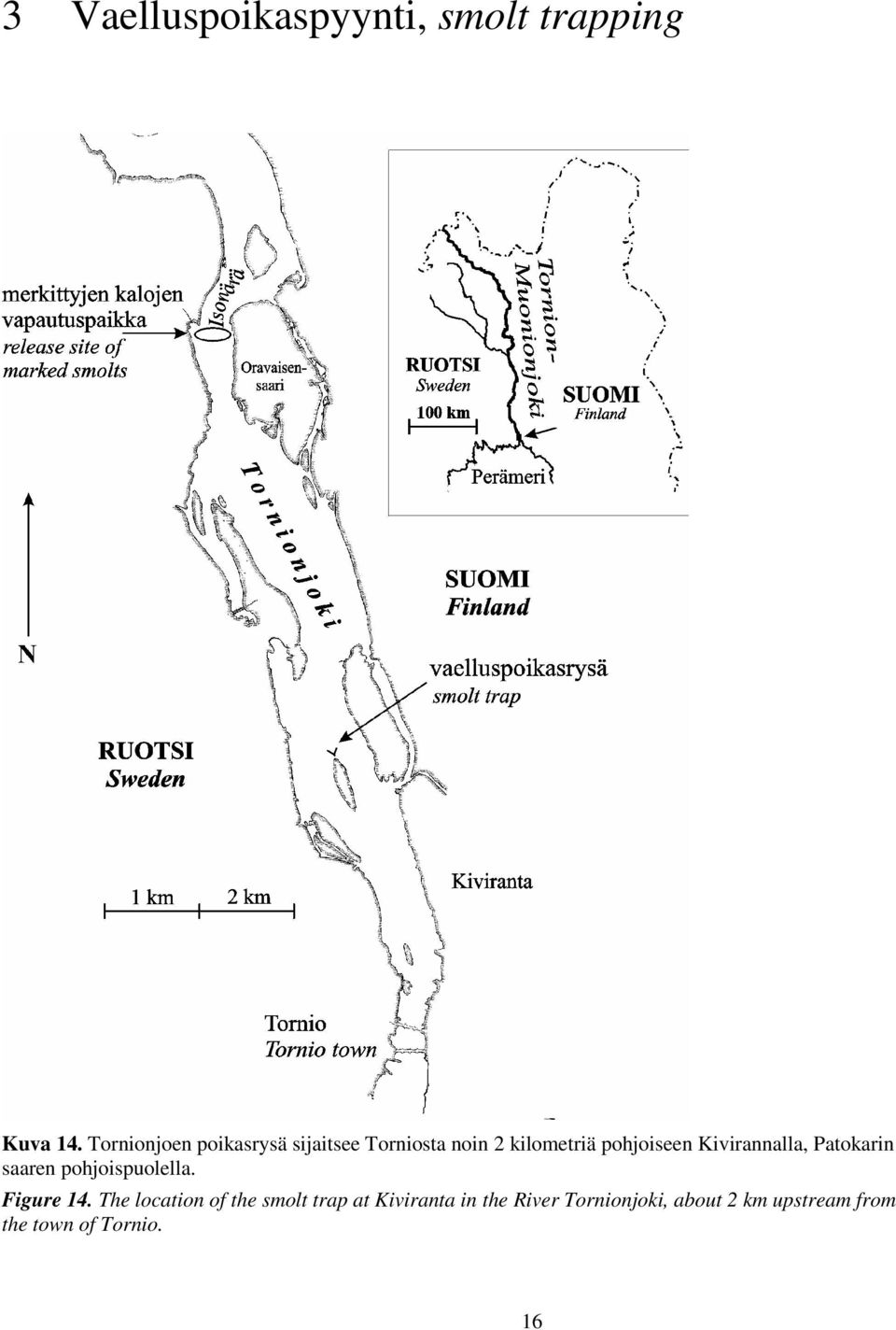 Kivirannalla, Patokarin saaren pohjoispuolella. Figure 14.