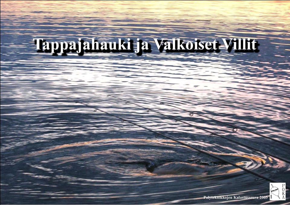 Tappajahauki ja