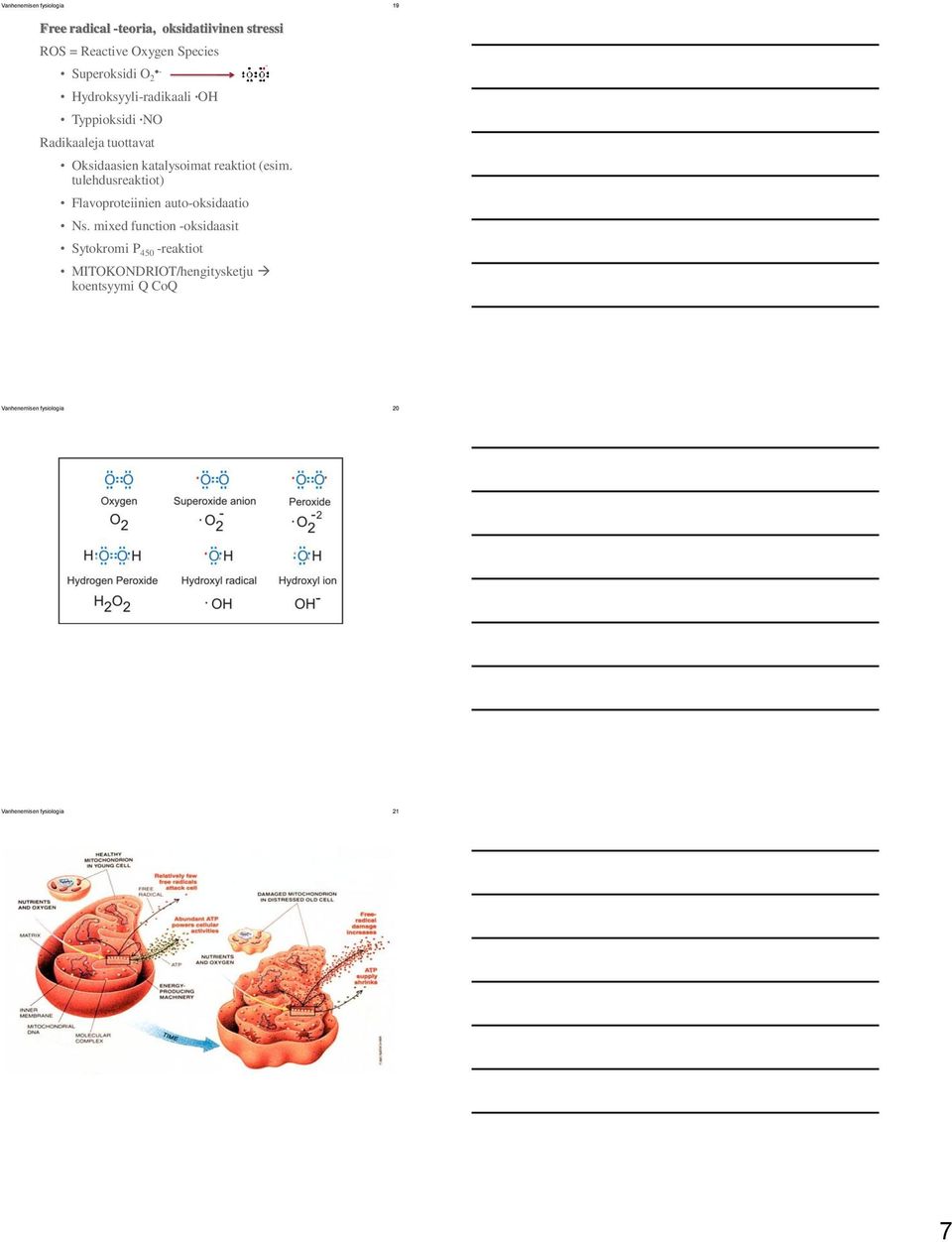 reaktiot (esim. tulehdusreaktiot) Flavoproteiinien auto-oksidaatio Ns.