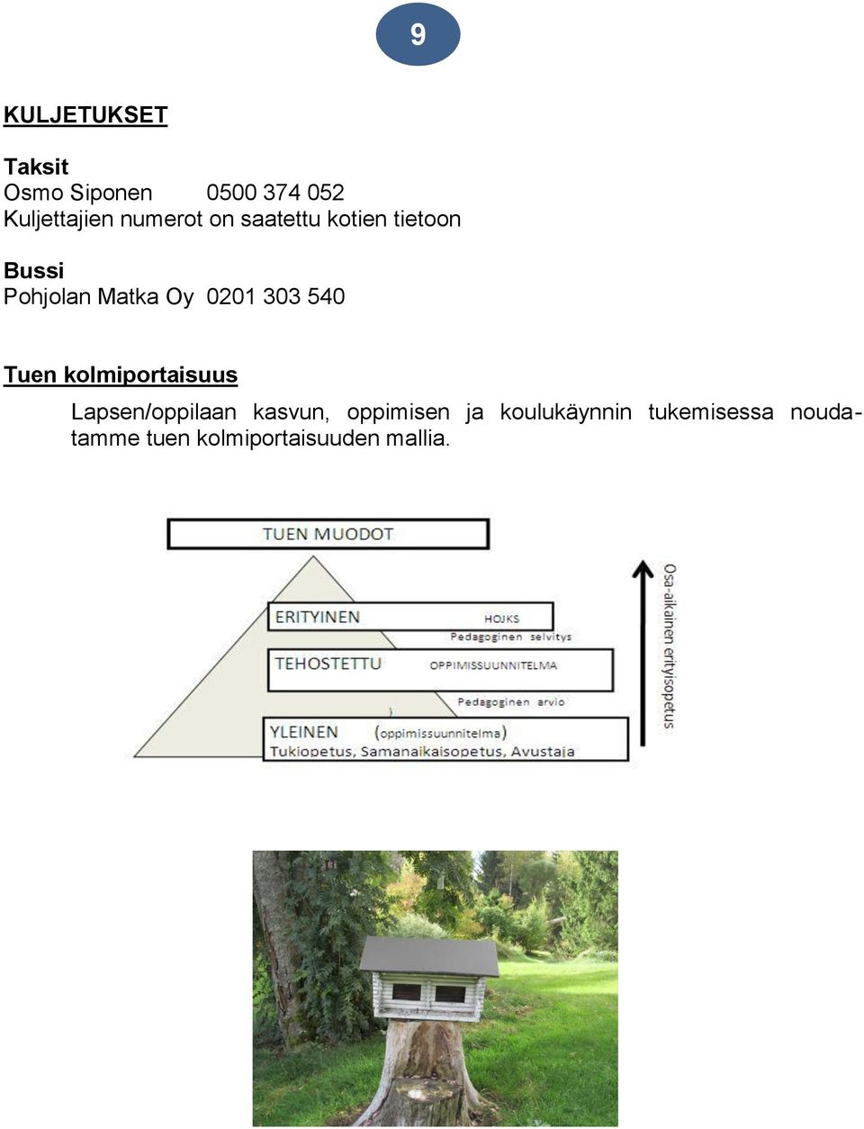 303 540 Tuen kolmiportaisuus Lapsen/oppilaan kasvun, oppimisen