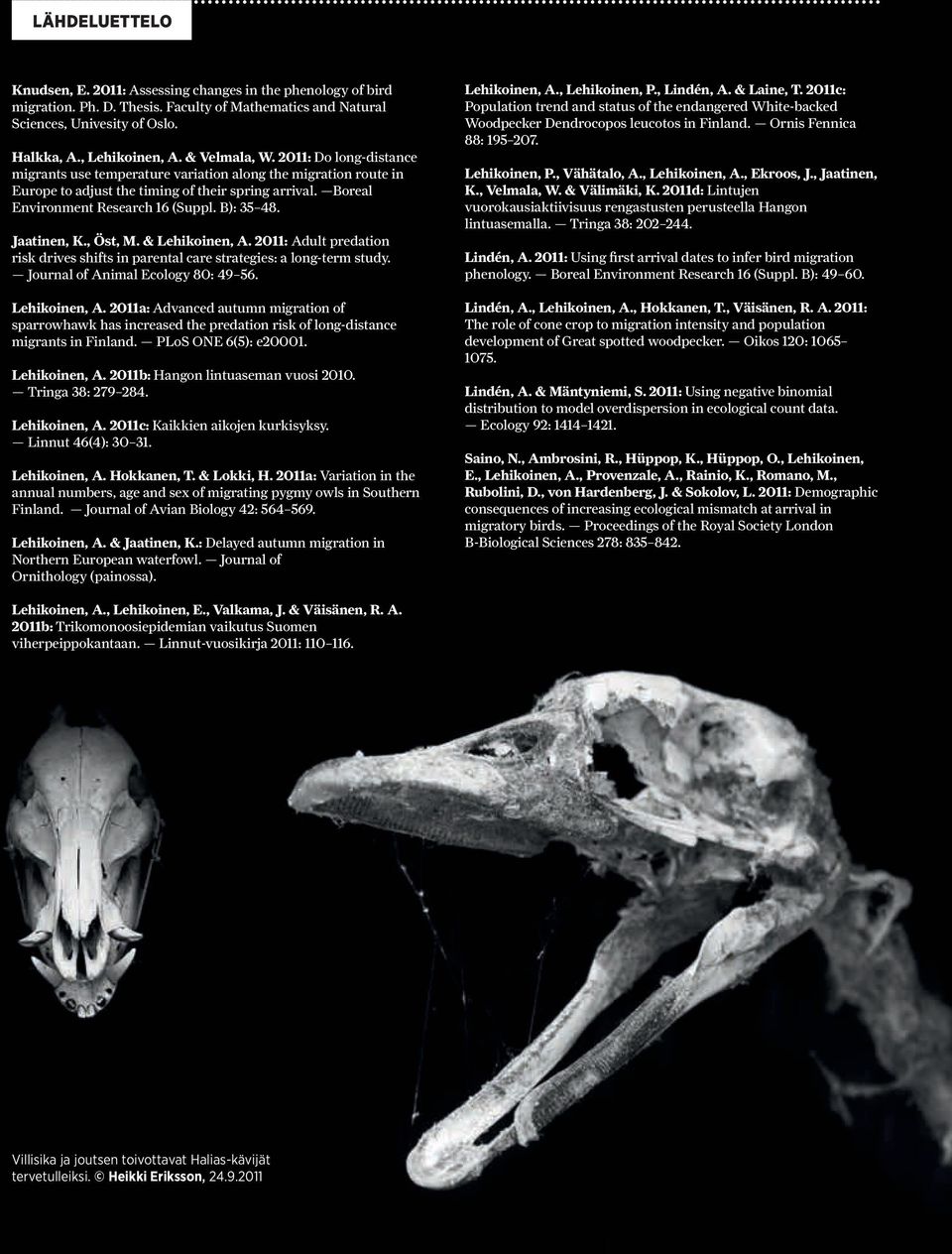 B): 35 48. Jaatinen, K., Öst, M. & Lehikoinen, A. 2011: Adult predation risk drives shifts in parental care strategies: a long-term study. Journal of Animal Ecology 80: 49 56. Lehikoinen, A. 2011a: Advanced autumn migration of sparrowhawk has increased the predation risk of long-distance migrants in Finland.