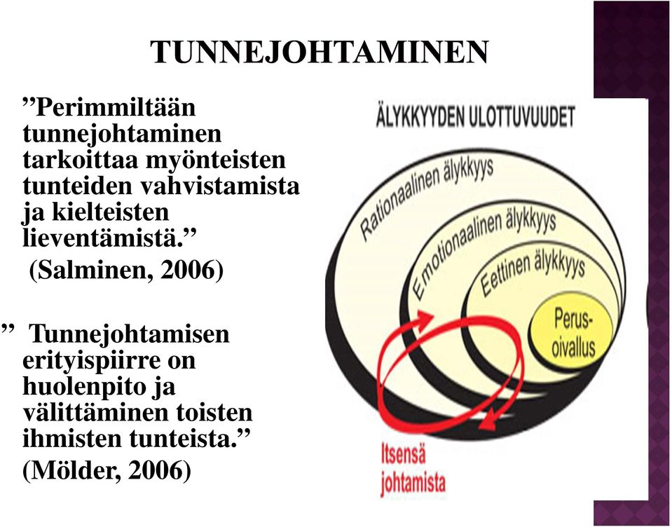 (Salminen, 2006) Tunnejohtamisen erityispiirre on