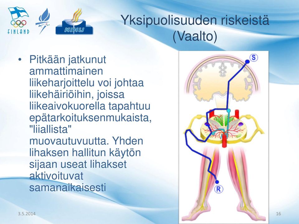 epätarkoituksenmukaista, "liiallista" muovautuvuutta.