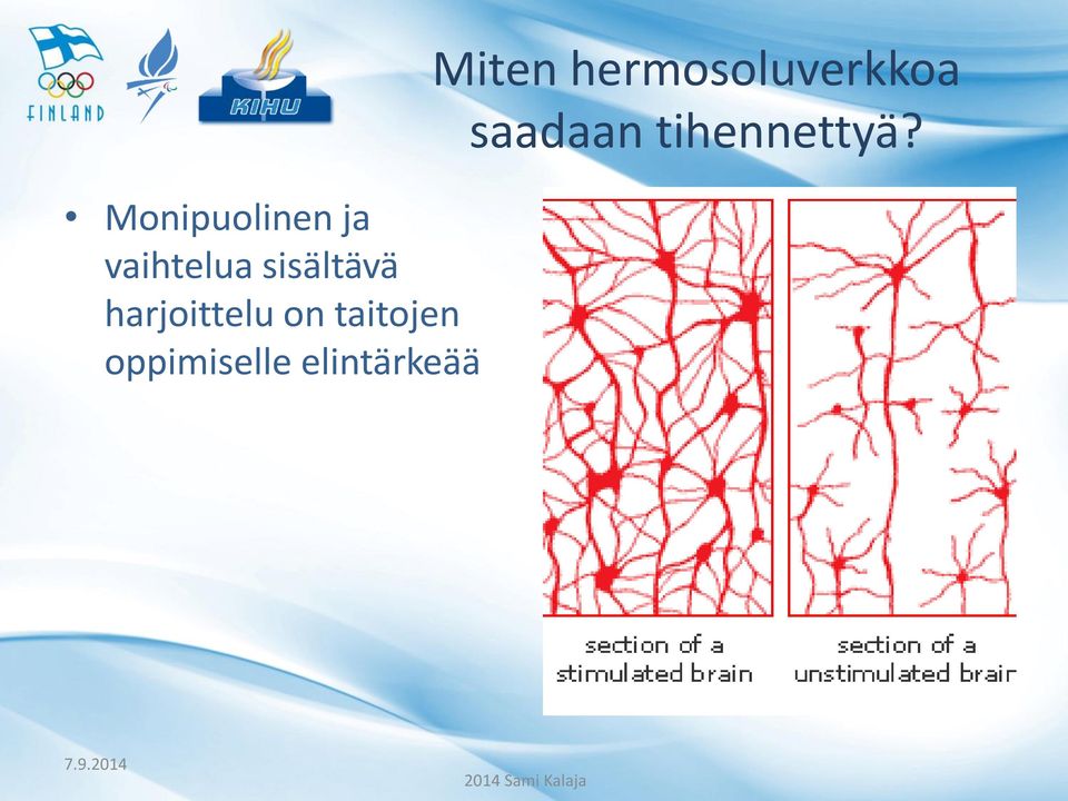 elintärkeää Miten hermosoluverkkoa