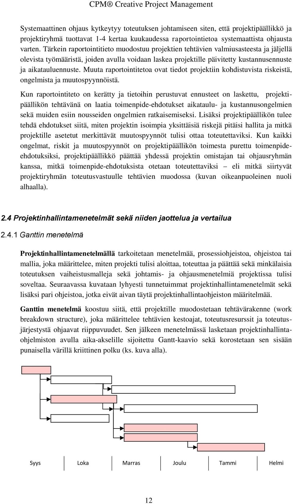 Muuta raportointitetoa ovat tiedot projektiin kohdistuvista riskeistä, ongelmista ja muutospyynnöistä.