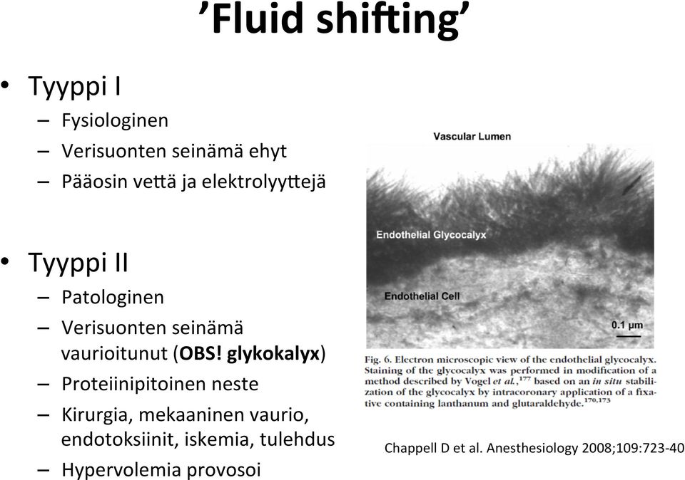 glykokalyx) Proteiinipitoinen neste Kirurgia, mekaaninen vaurio, endotoksiinit,