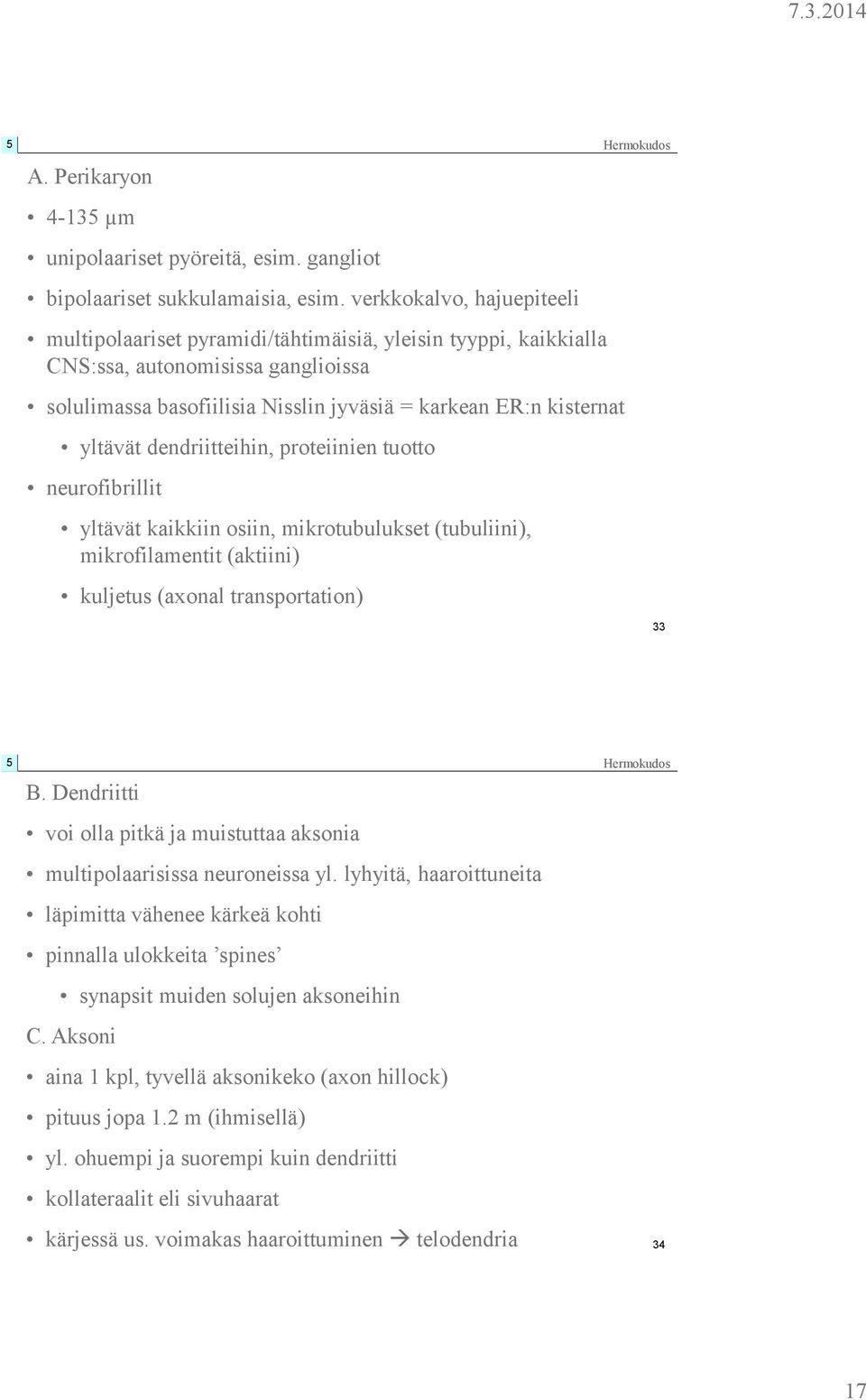 dendriitteihin, proteiinien tuotto neurofibrillit yltävät kaikkiin osiin, mikrotubulukset (tubuliini), mikrofilamentit (aktiini) kuljetus (axonal transportation) 33 B.