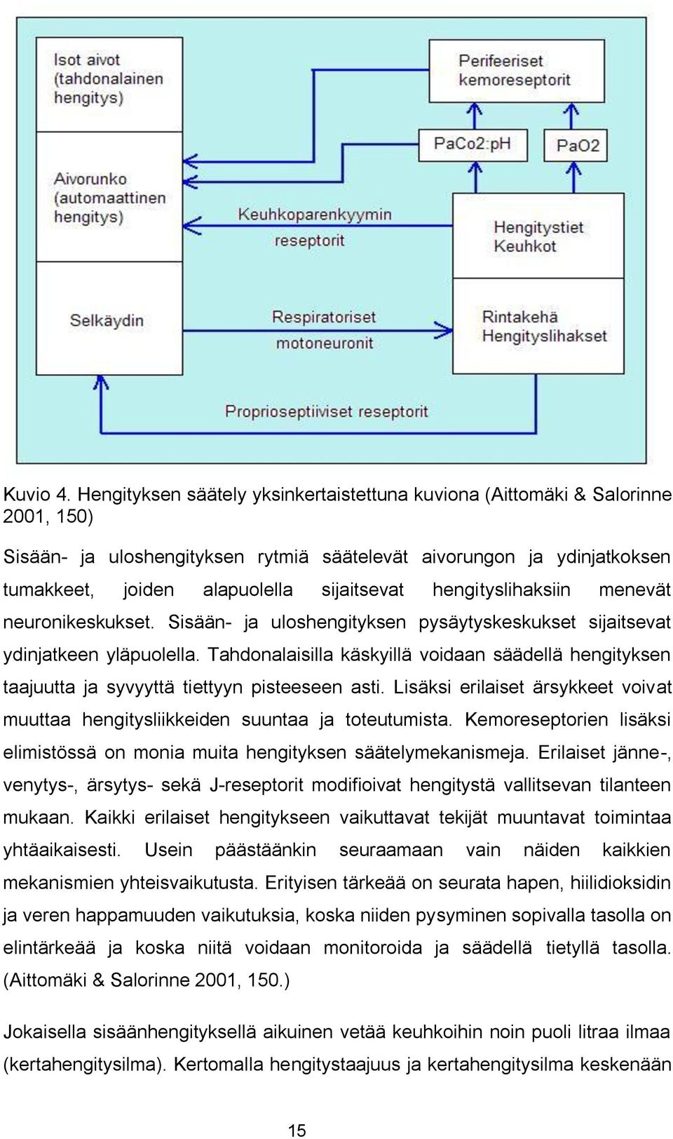 hengityslihaksiin menevät neuronikeskukset. Sisään- ja uloshengityksen pysäytyskeskukset sijaitsevat ydinjatkeen yläpuolella.