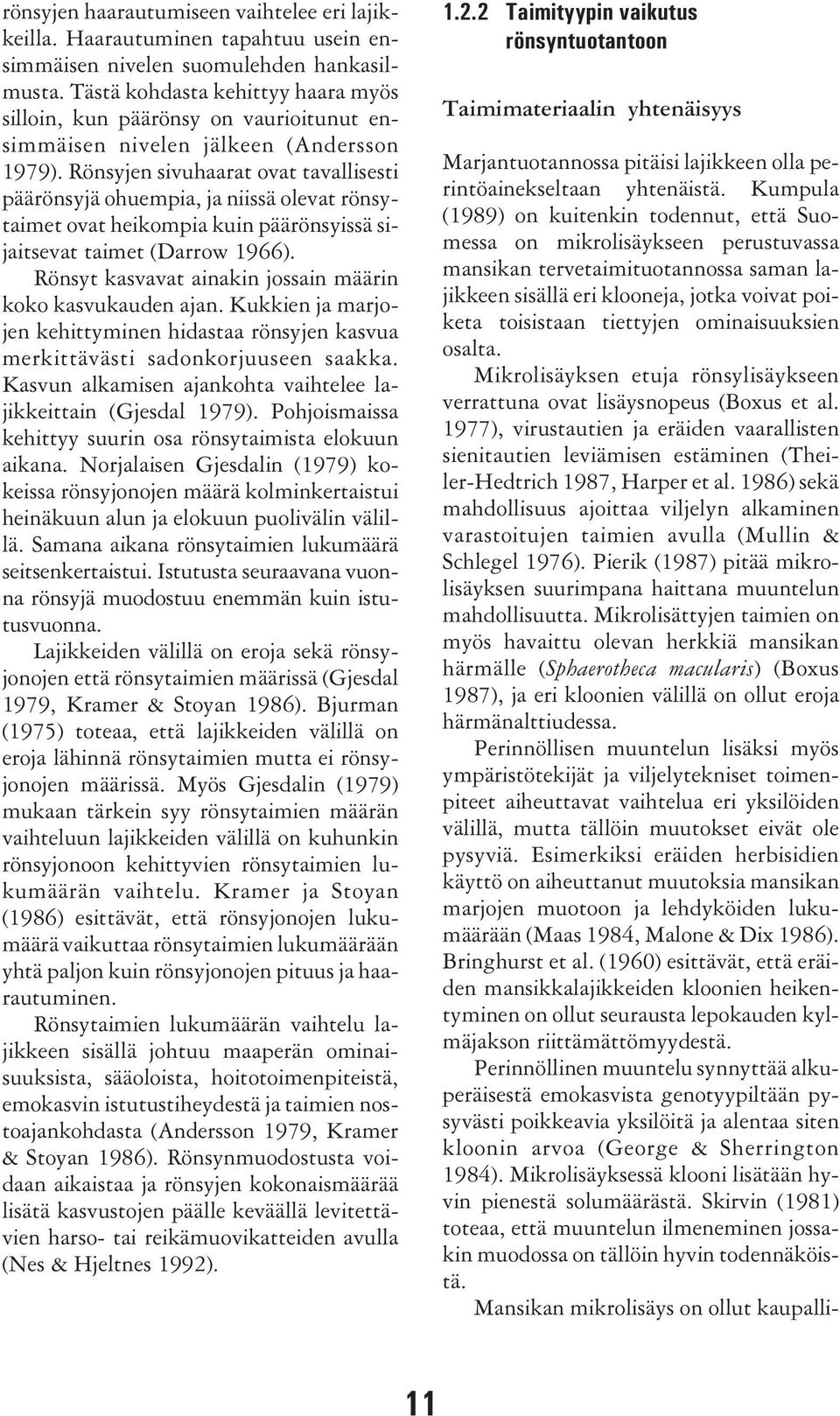 Rönsyjen sivuhaarat ovat tavallisesti päärönsyjä ohuempia, ja niissä olevat rönsytaimet ovat heikompia kuin päärönsyissä sijaitsevat taimet (Darrow 1966).