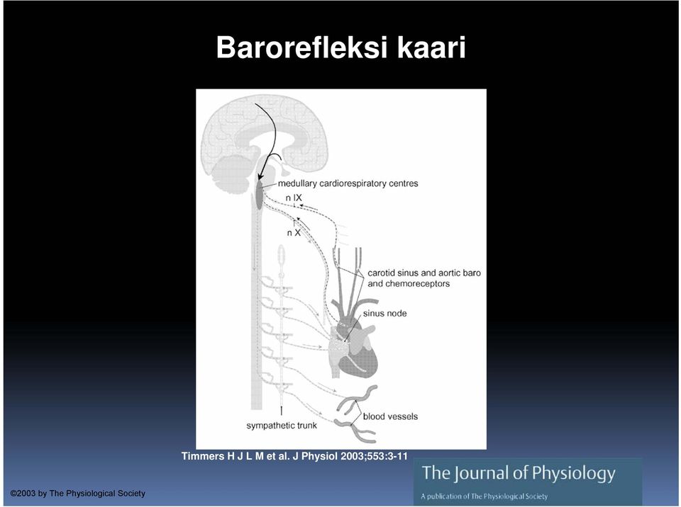 J Physiol 2003;553:3-11