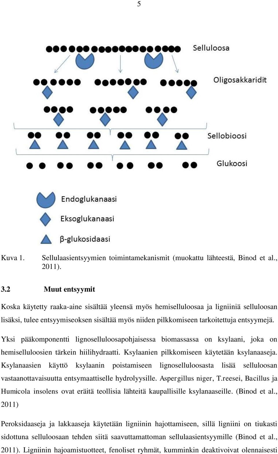 Yksi pääkomponentti lignoselluloosapohjaisessa biomassassa on ksylaani, joka on hemiselluloosien tärkein hiilihydraatti. Ksylaanien pilkkomiseen käytetään ksylanaaseja.