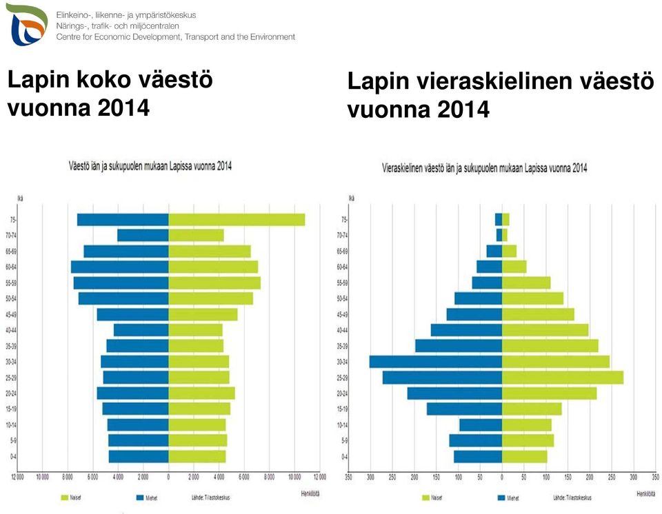 vieraskielinen