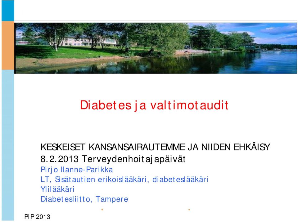 2013 Terveydenhoitajapäivät Pirjo Ilanne-Parikka LT,