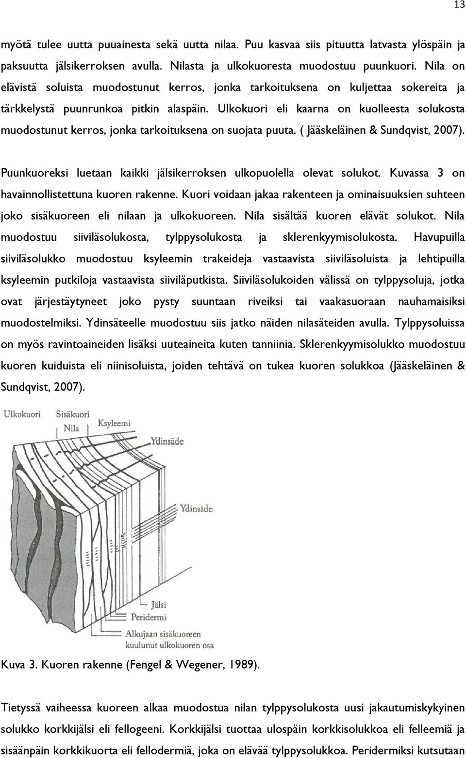 Ulkokuori eli kaarna on kuolleesta solukosta muodostunut kerros, jonka tarkoituksena on suojata puuta. ( Jääskeläinen & Sundqvist, 2007).