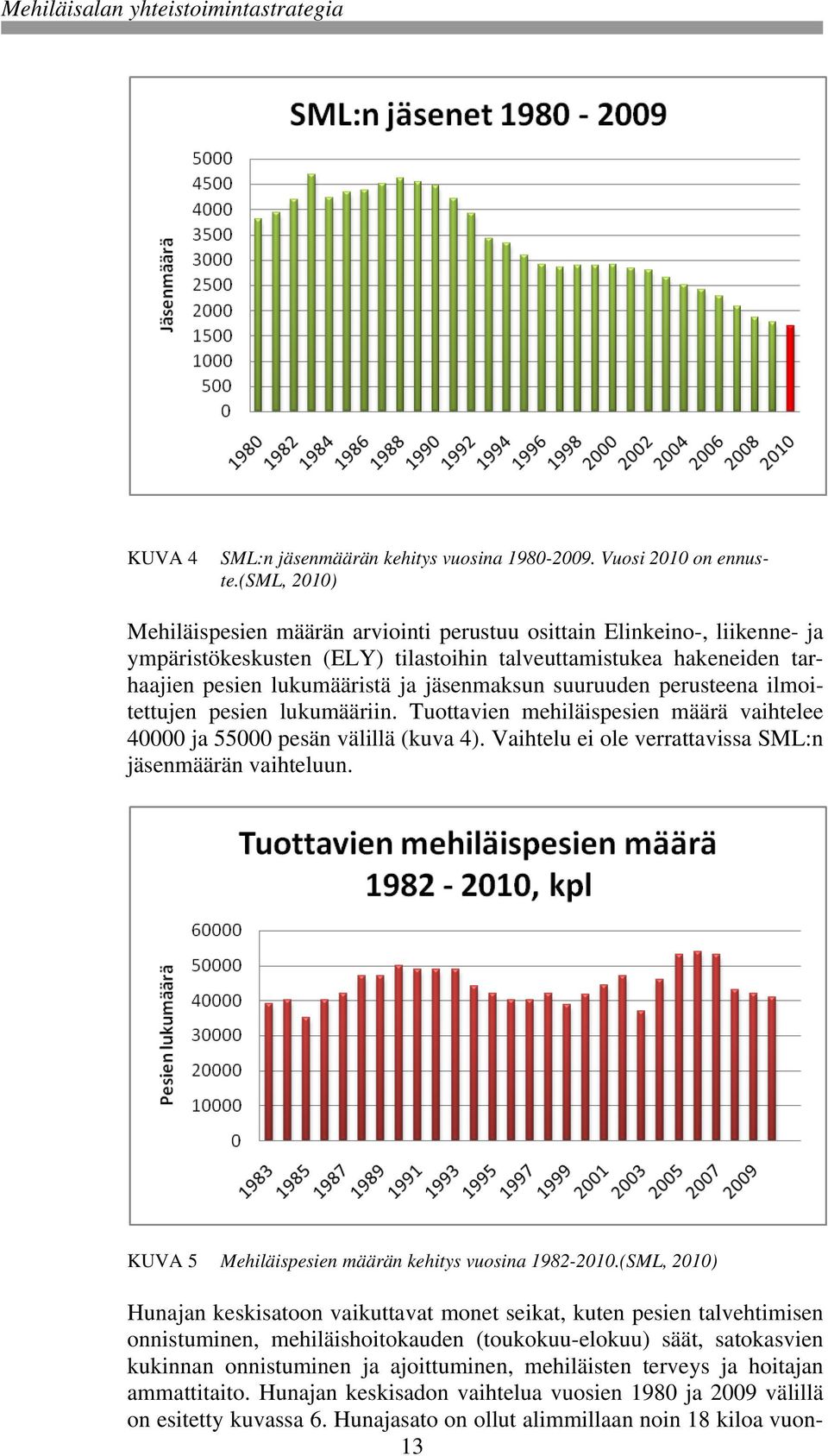 suuruuden perusteena ilmoitettujen pesien lukumääriin. Tuottavien mehiläispesien määrä vaihtelee 40000 ja 55000 pesän välillä (kuva 4). Vaihtelu ei ole verrattavissa SML:n jäsenmäärän vaihteluun.