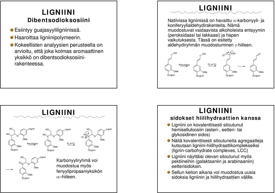 hapen vaikutuksesta Tässä on esitetty aldehydiryhmän muodostuminen γ-hiileen Peroxidase 2 or 2 - Lignin Me Lignin Me Lignin Me Lignin Me H H Lignin Me H Me Lignin Lignin Me Me H H H Me Lignin Lignin
