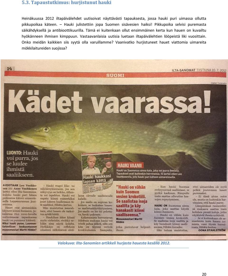 Tämä ei kuitenkaan ollut ensimmäinen kerta kun hauen on kuvailtu hyökänneen ihmisen kimppuun.