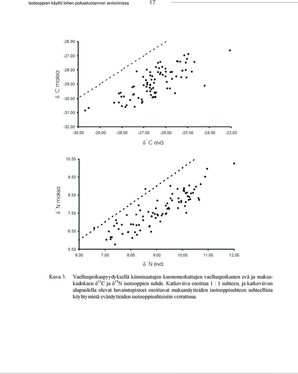 13 C ja δ 15 N isotooppien suhde.