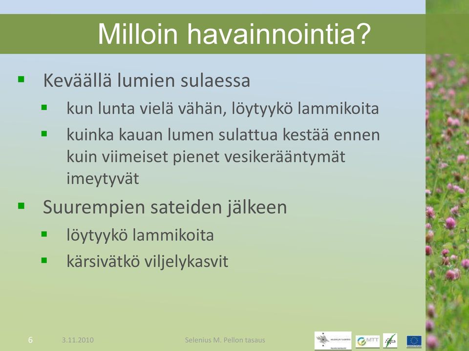lammikoita kuinka kauan lumen sulattua kestää ennen kuin